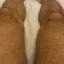 Eskad