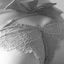 Freya25