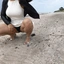 Krista69