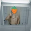 Leoninds99