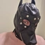 PugiPavel