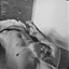 Pifans96