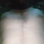 Vetal79