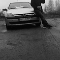 Pistgribas
