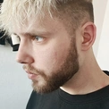 Blondais1995
