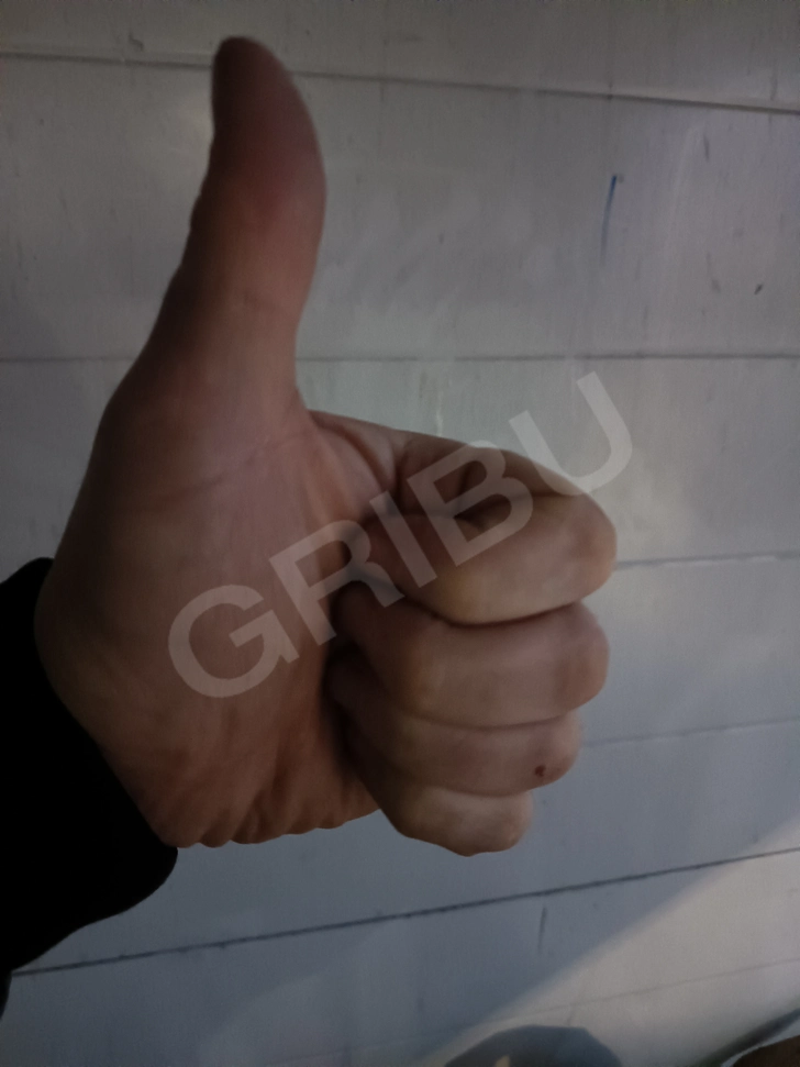 Advertisement (8779230) - RomanJaRoman 2