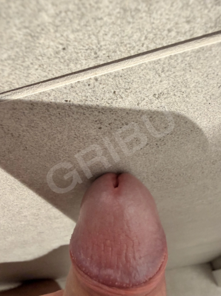 Advertisement (8801209) - passivedog 2