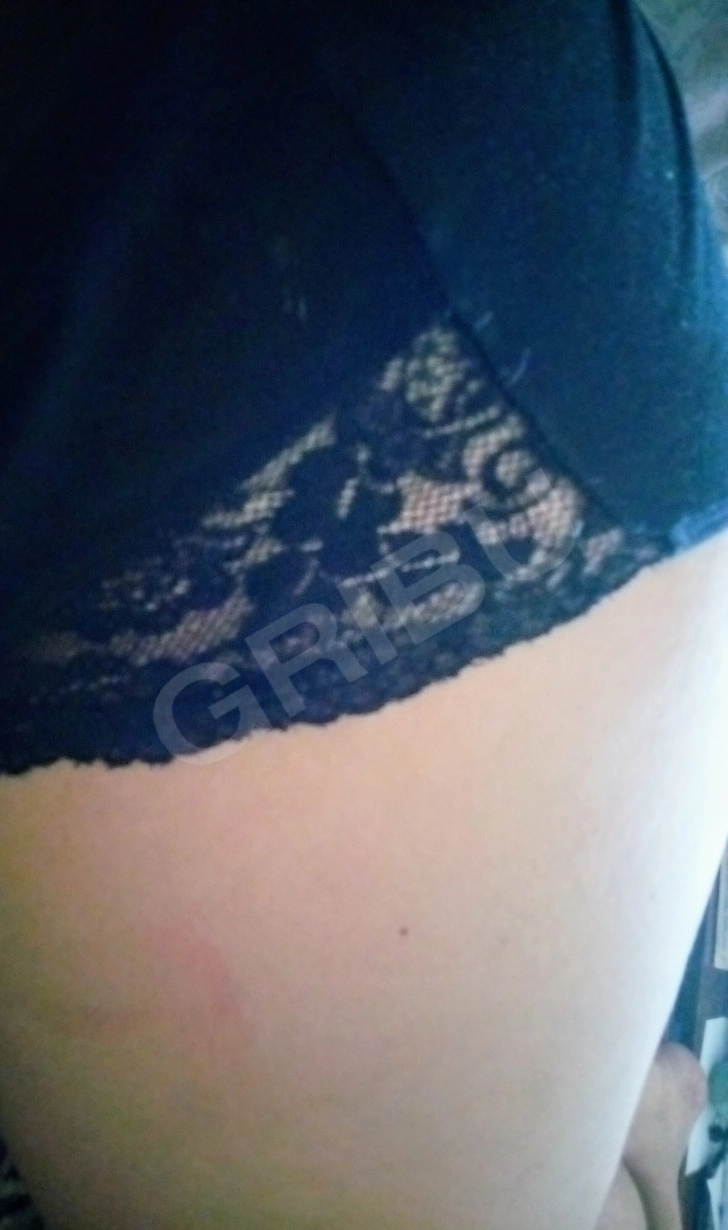 Advertisement (8564725) - panty 1