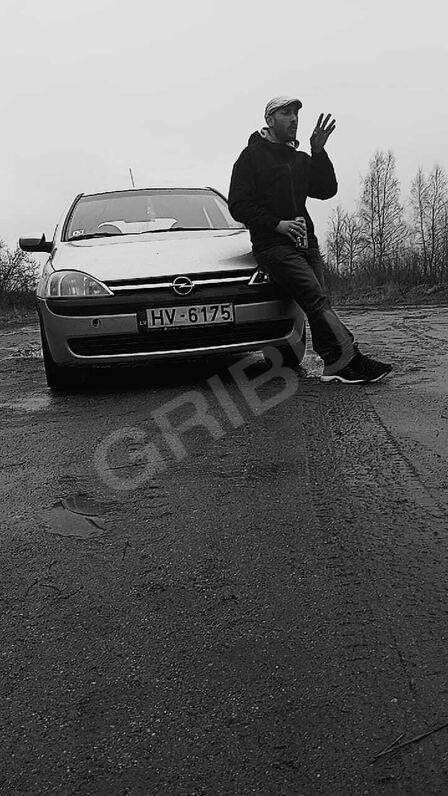 Pistgribas5941011