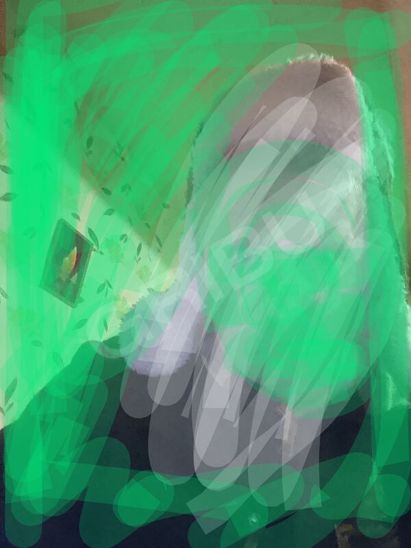 AK02464420839