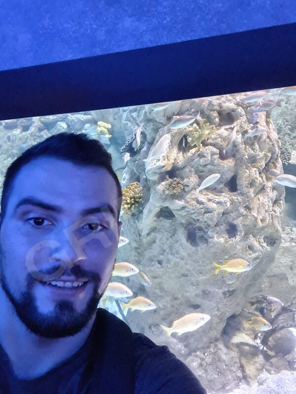 Avrdaniel953233