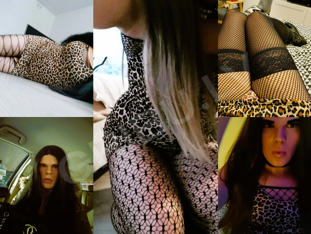 KellyTS3347343
