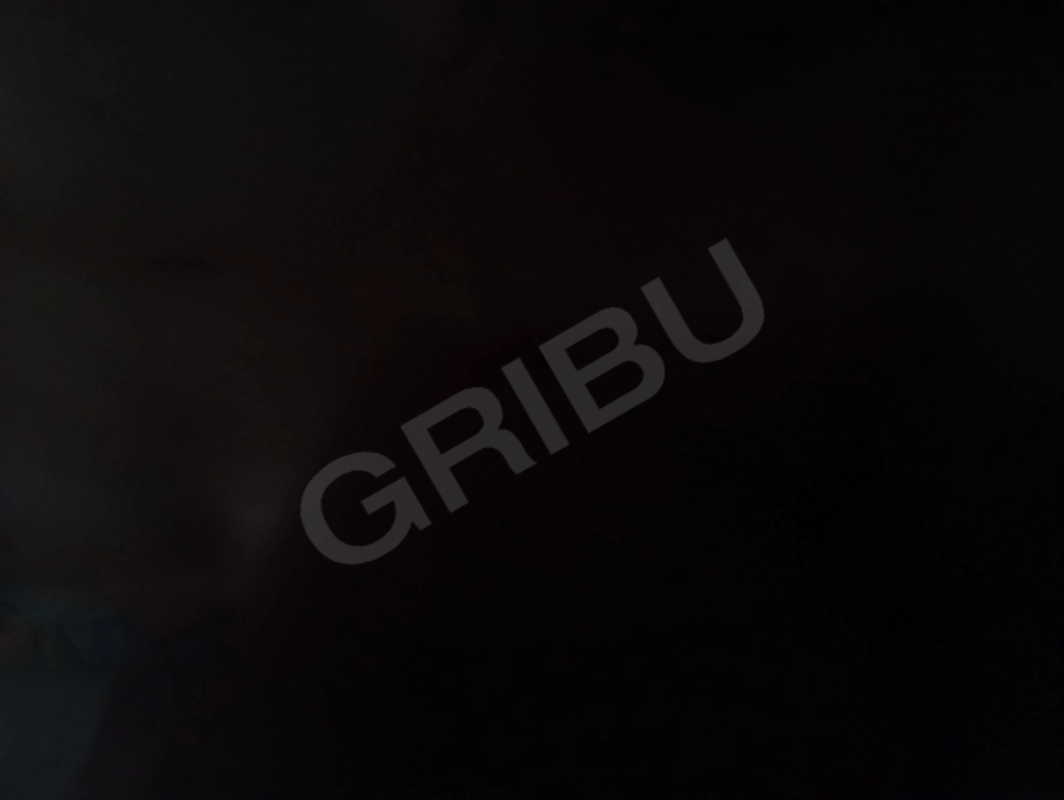 Igora5551761588