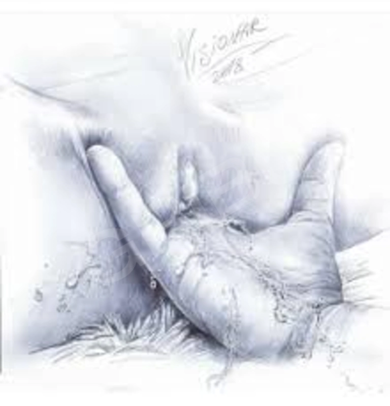 Grifs222926119