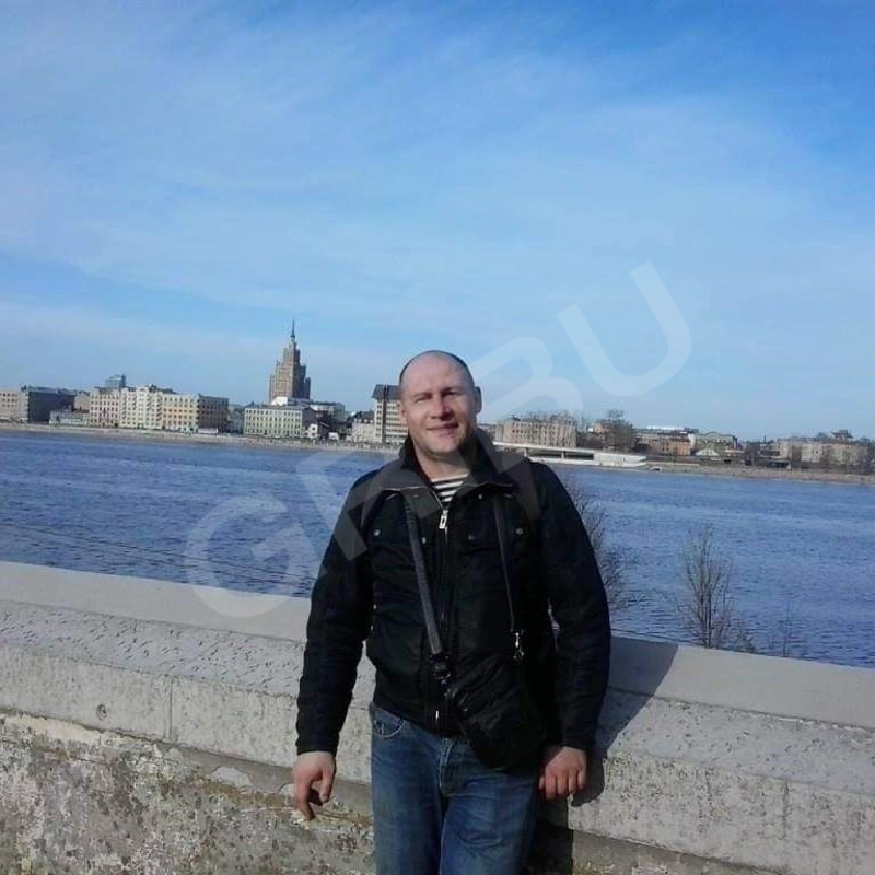 Vadfox1115853