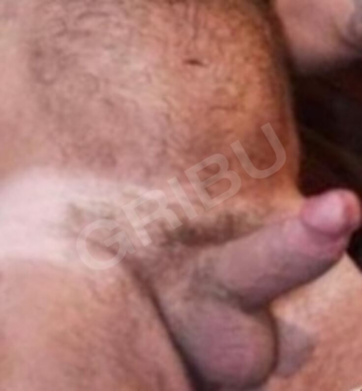 Bibalvi803364