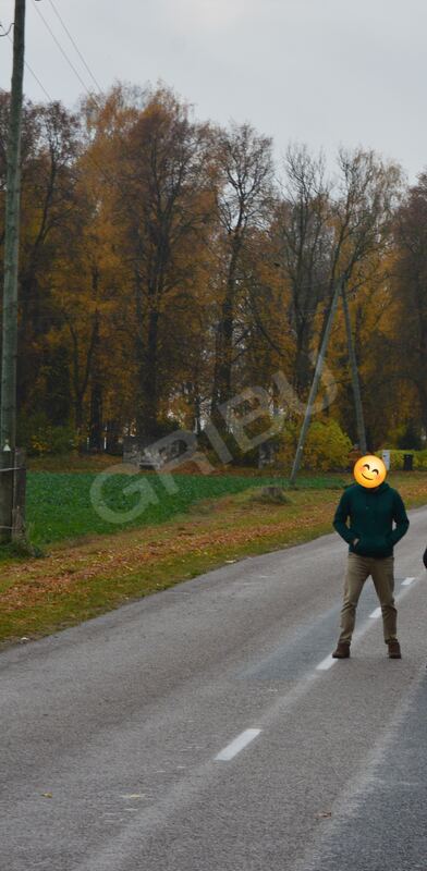 Kriss21126017153
