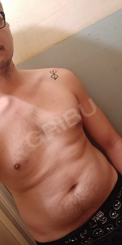 Lincis788273