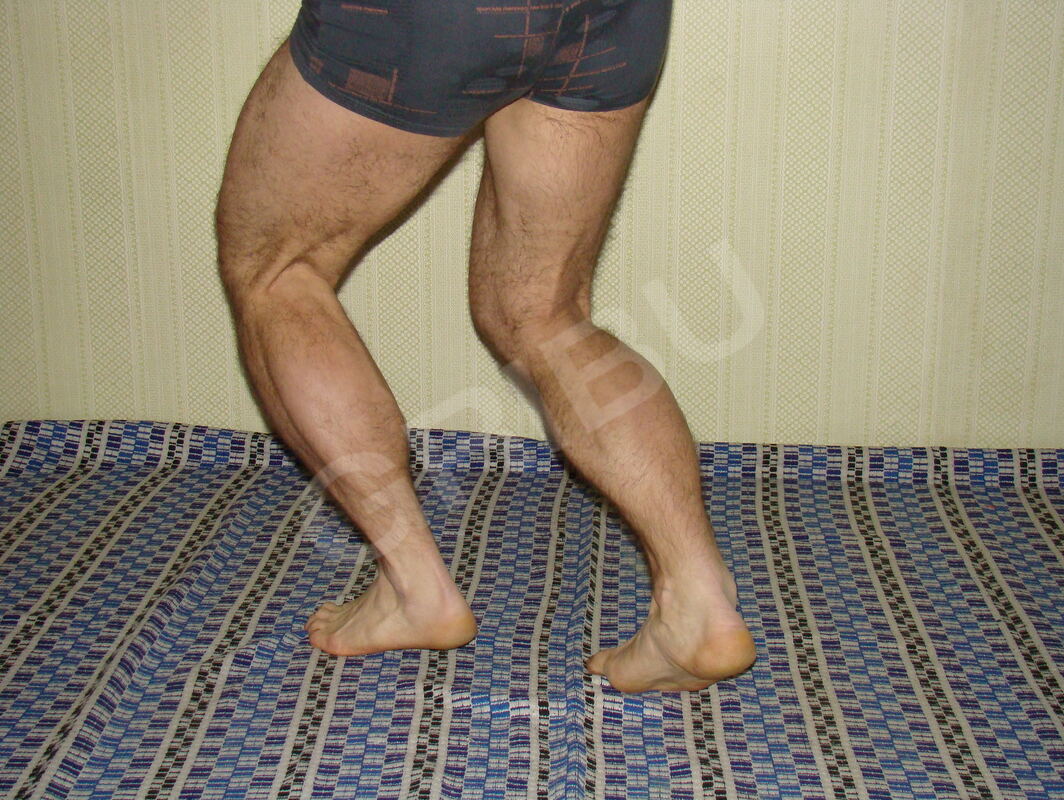 Magnijs2640987