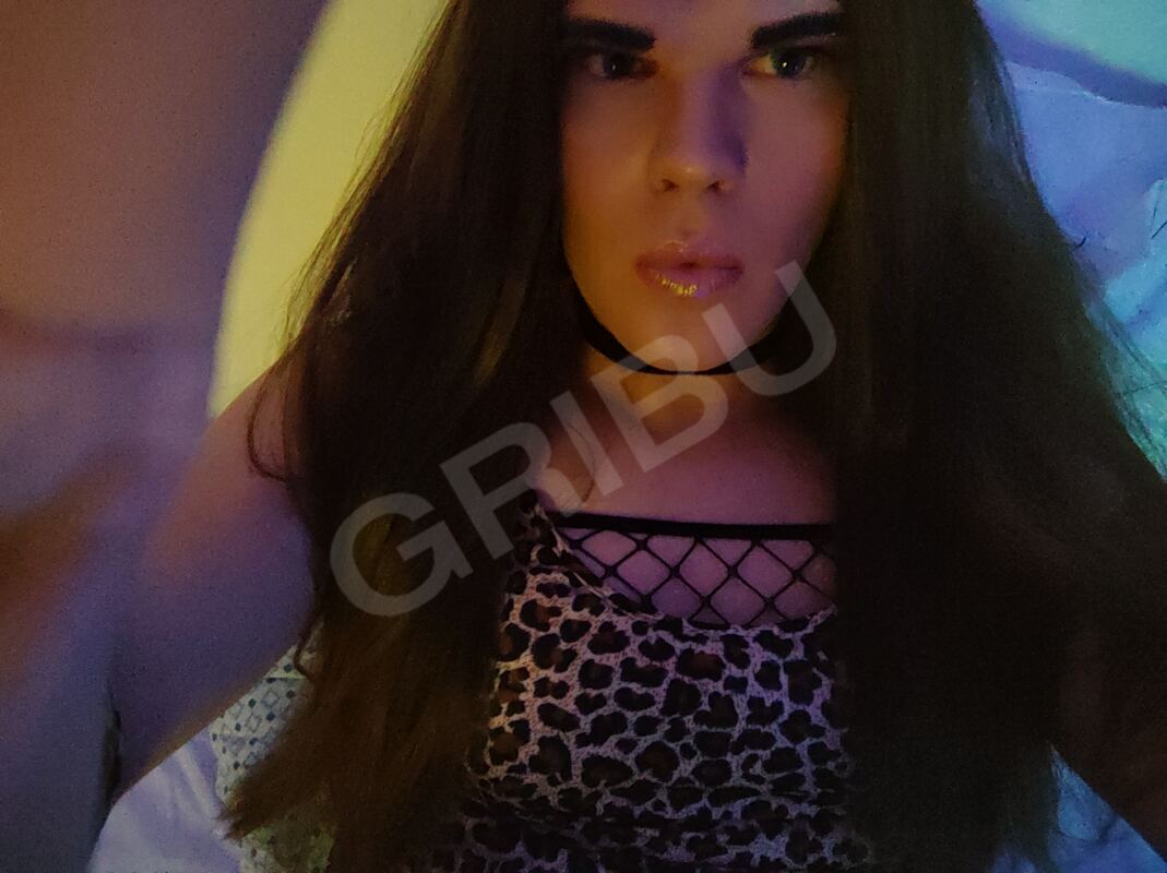 KellyTS3347338