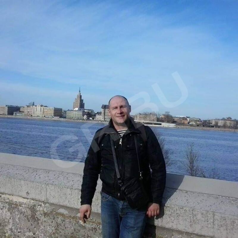 Vadfox3389094