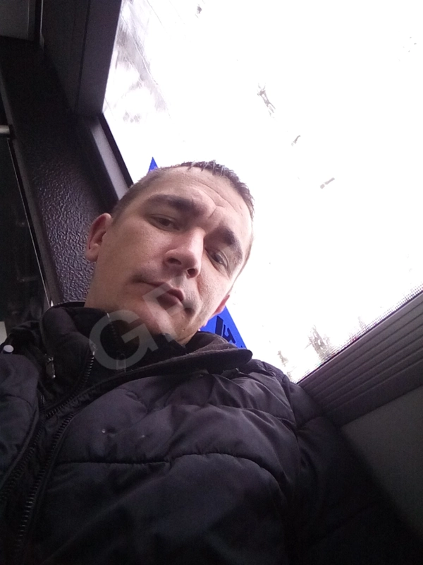 artis8131176007