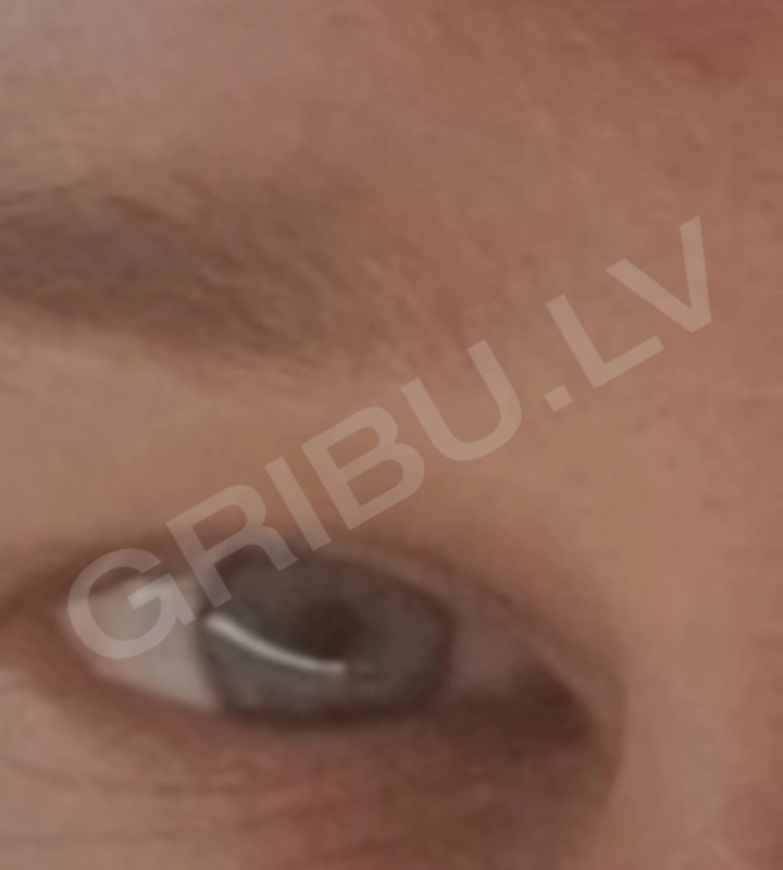 Puisis21052197