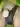 Arturs