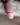 serega