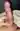 Dagnis