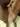 Advertisement (8448120) - Paulson777 4
