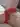 TransBodyToSee1