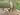 Advertisement (8167180) - Agentsbi 2