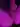 bigdong19