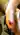 MisterG
