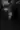 Advertisement (8812309) - adequateguy 3