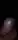 Advertisement (8046557) - Igorxxx69 3
