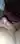 Di