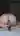 Aleks2600