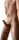 BWC-