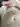 Anonym666