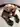 Advertisement (8507136) - Pas4you 4