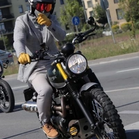janisjanis143