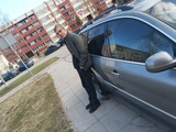 Объявление (6774768) - ricardsmatiso