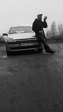 Silvis