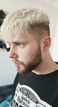 Blondais 1995