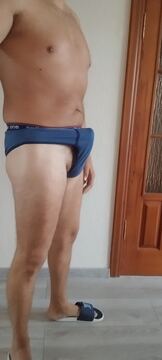 Dimdim1
