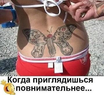 Velikss